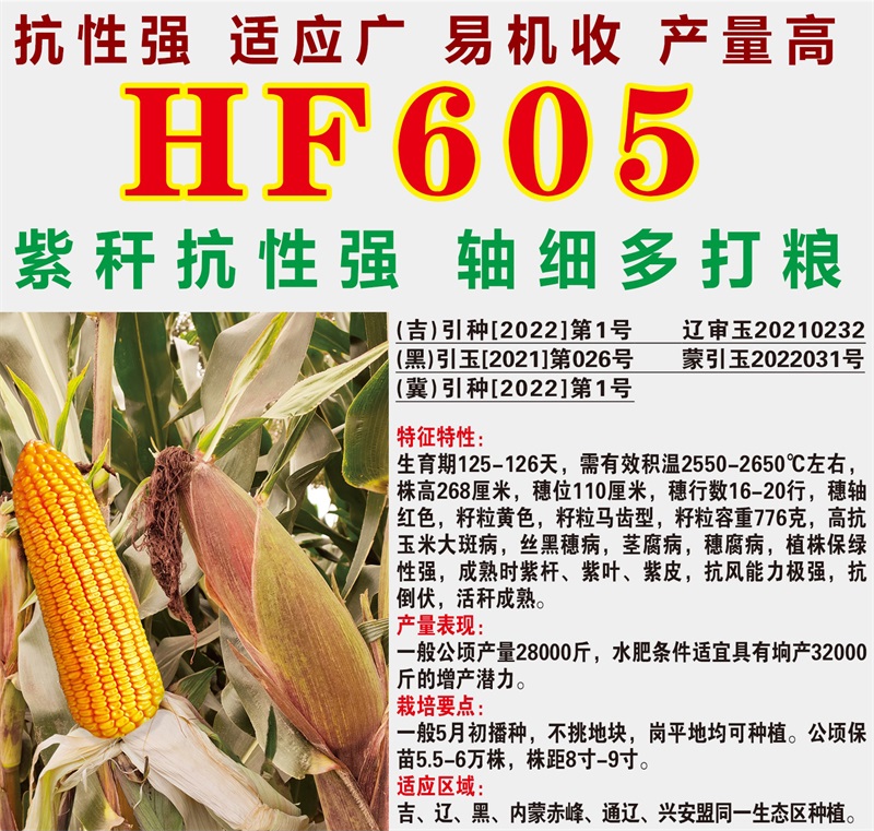 HF605